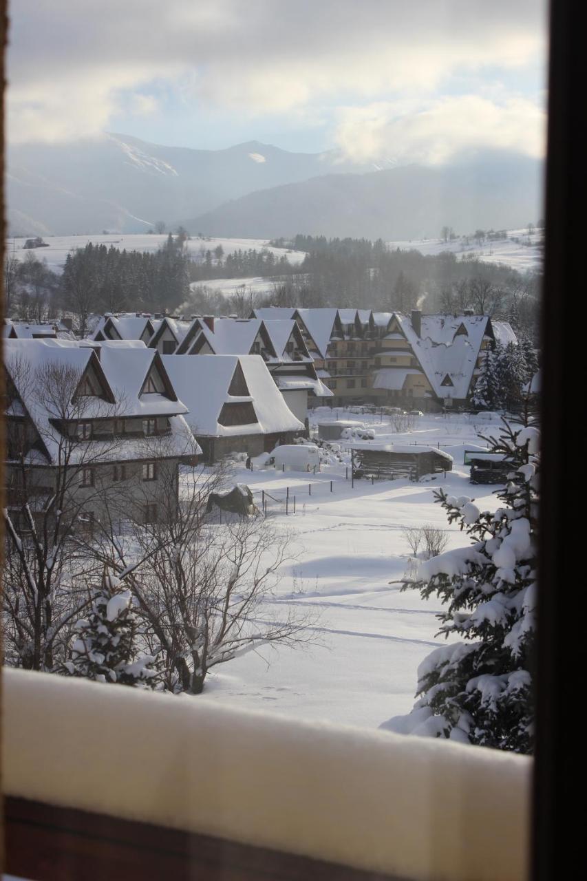 Willa Pod Zielonym Wierchem Zakopane Exterior photo